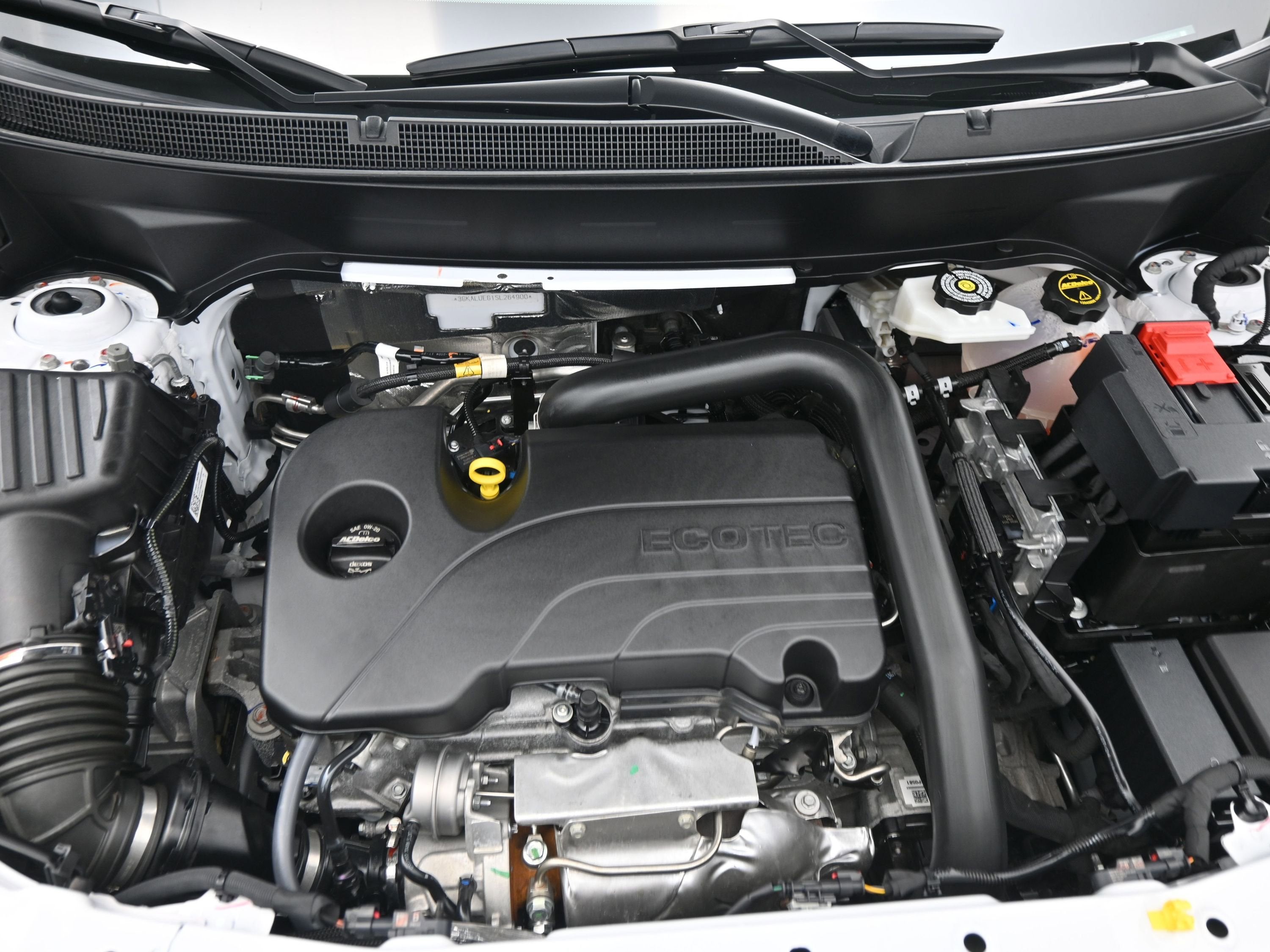 2025 GMC Terrain AWD Elevation