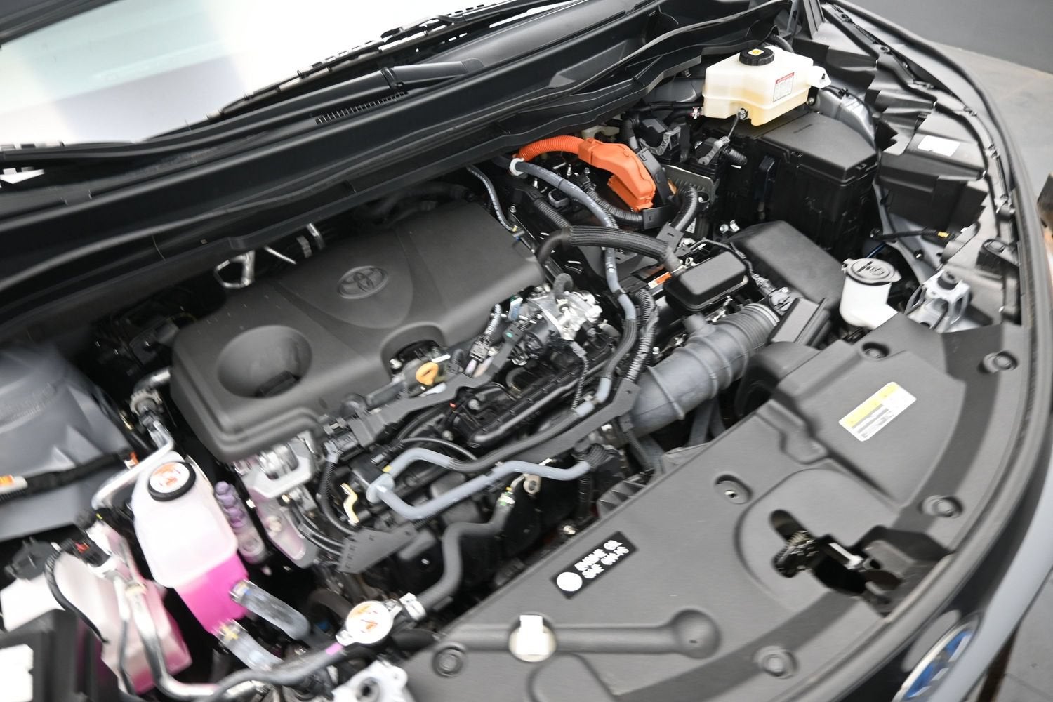 2025 Toyota Sienna Woodland Edition