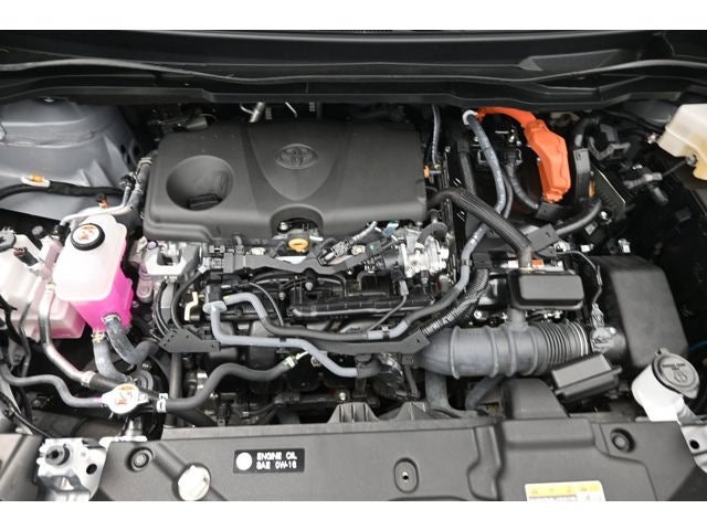 2025 Toyota Sienna Woodland Edition