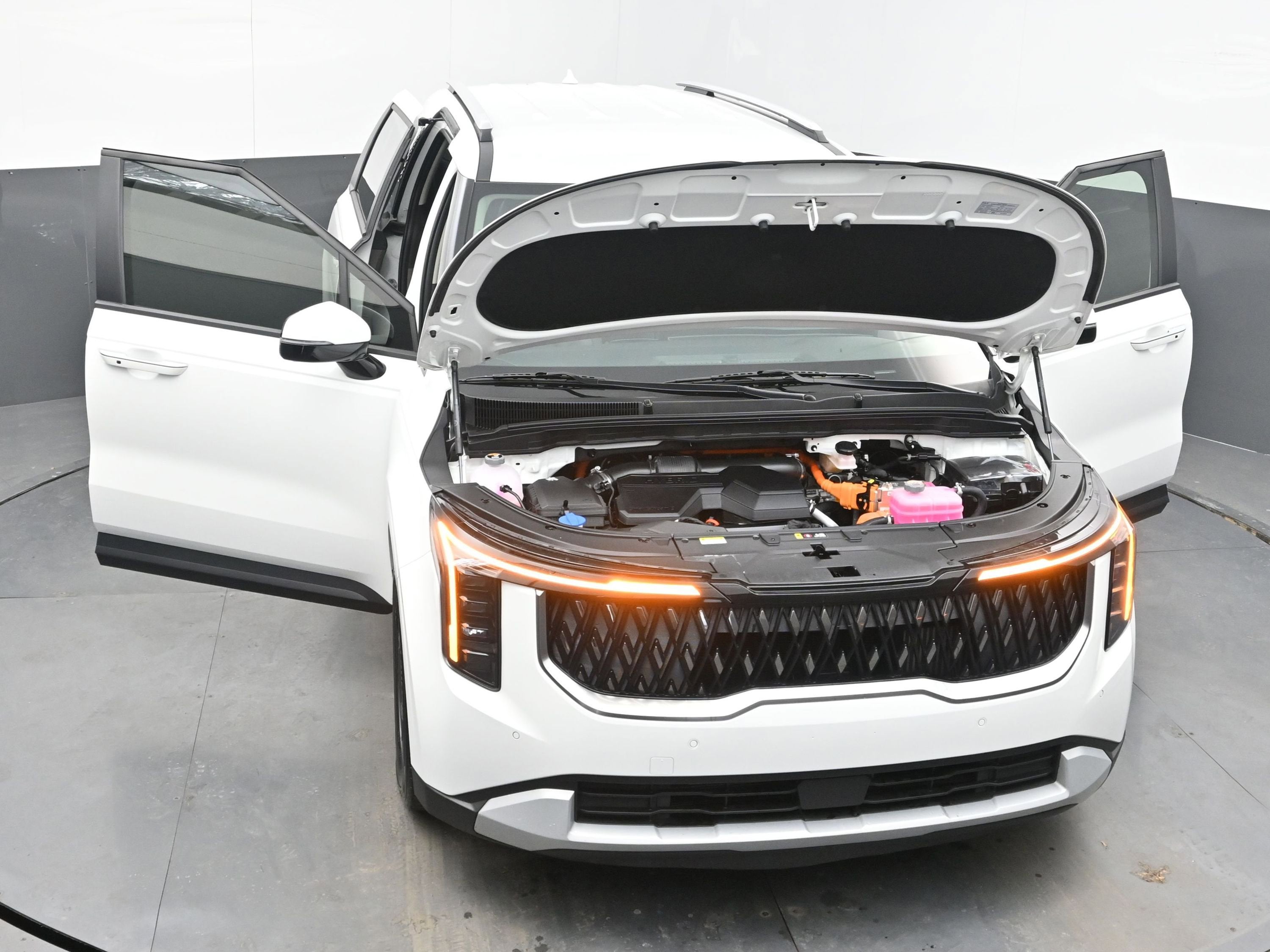 2025 Kia Carnival Hybrid EX