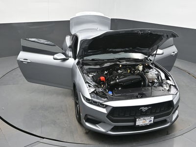 2024 Ford Mustang EcoBoost Fastback