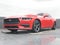 2024 Ford Mustang EcoBoost Fastback