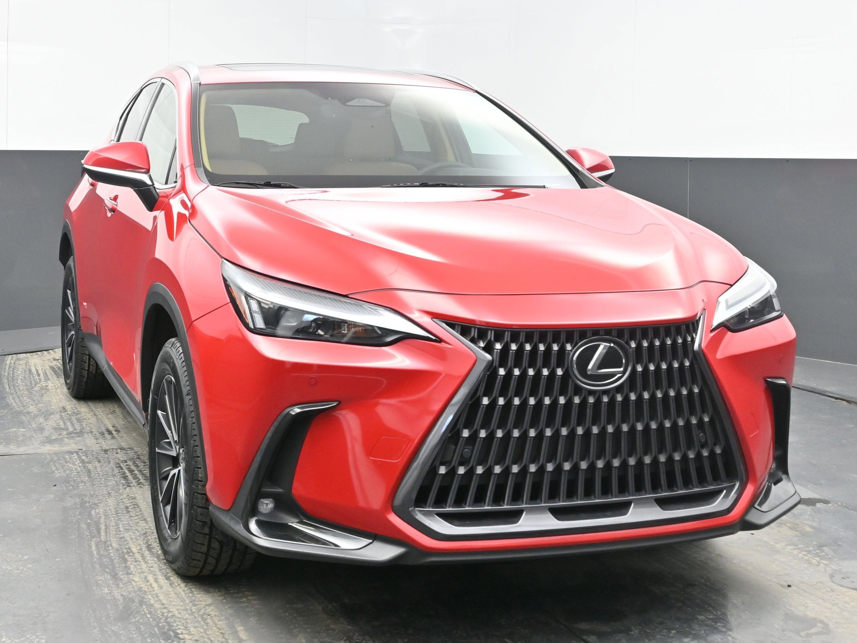 2025 Lexus NX 250 Premium
