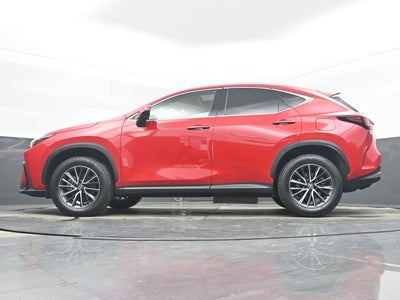 2025 Lexus NX 250 Premium