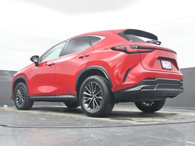 2025 Lexus NX 250 Premium