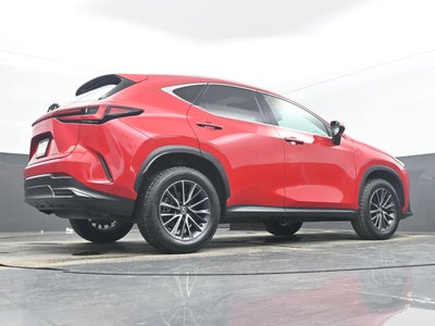 2025 Lexus NX 250 Premium
