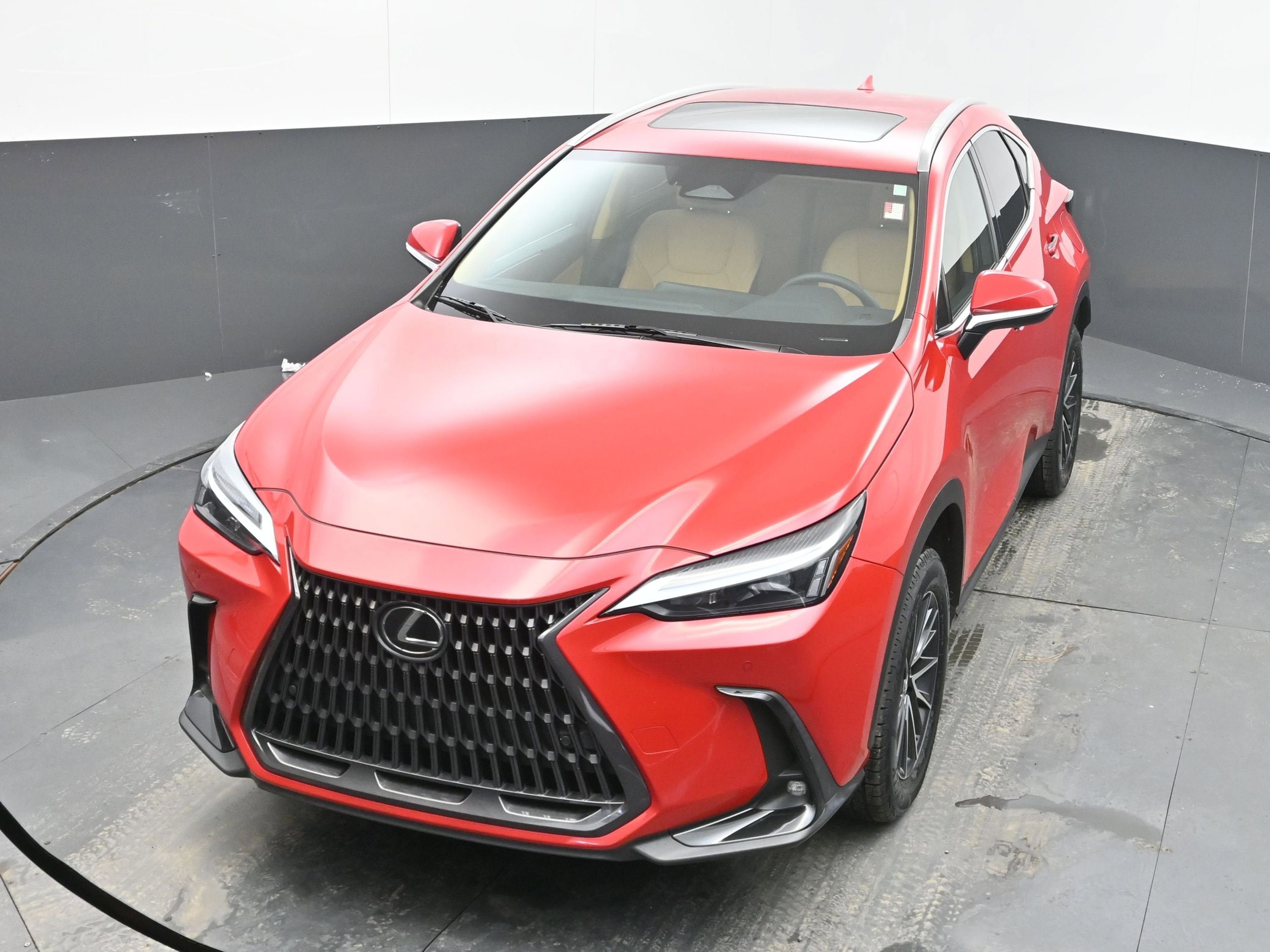 2025 Lexus NX 250 Premium