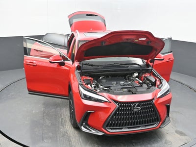 2025 Lexus NX 250 Premium