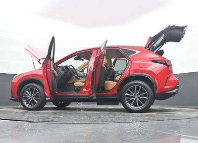 2025 Lexus NX 250 Premium