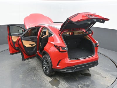 2025 Lexus NX 250 Premium