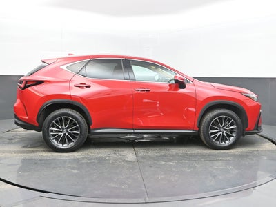 2025 Lexus NX 250 Premium