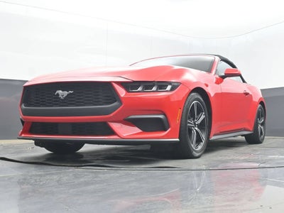 2024 Ford Mustang EcoBoost
