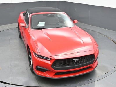 2024 Ford Mustang EcoBoost