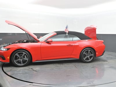 2024 Ford Mustang EcoBoost Convertible