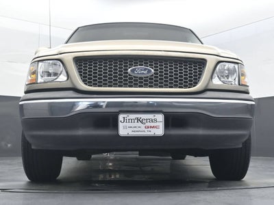 1999 Ford F-150 STYLE