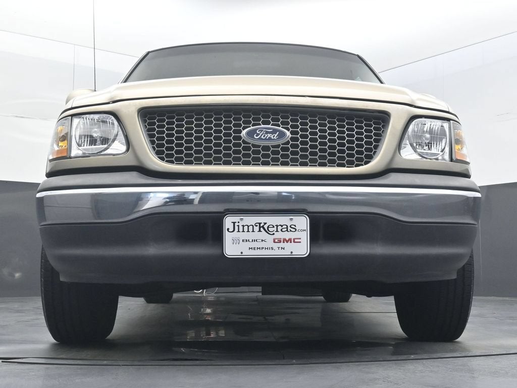 1999 Ford F-150 STYLE